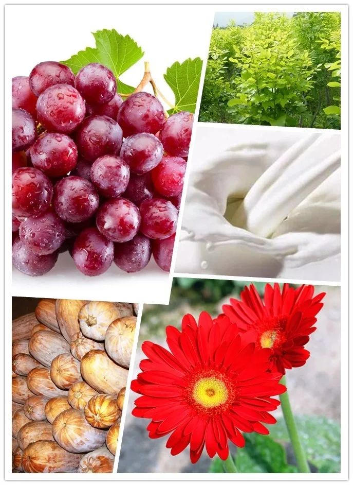 呼图壁县第一书记,昌吉呼图壁县委书记