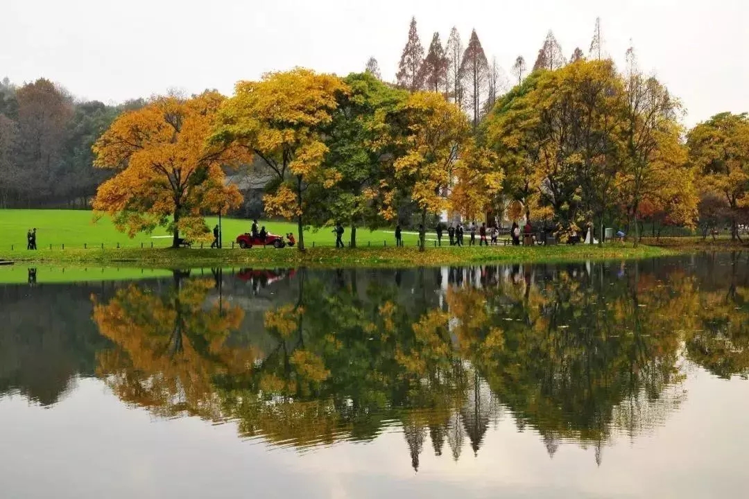 只有早起的老杭州才知道的秘密福利，西湖的绝佳搭档