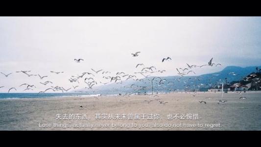 小7课堂开课了，教资备考之教学评价，你学会了吗？