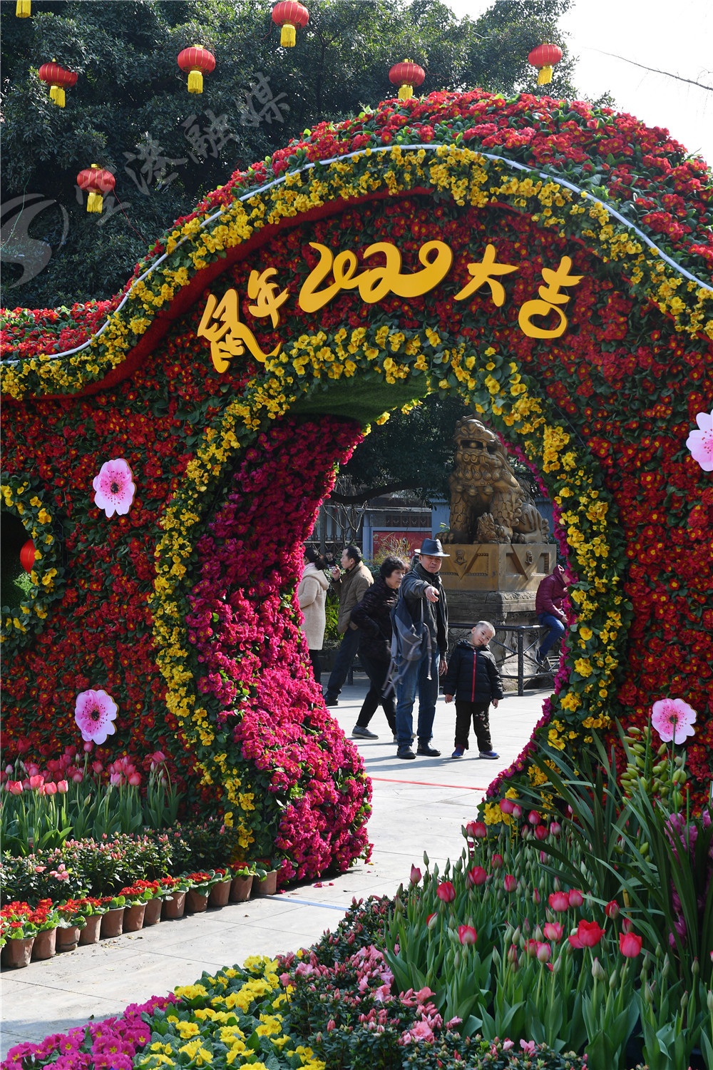 成都双流最新新闻,未来的双流会变成什么样子