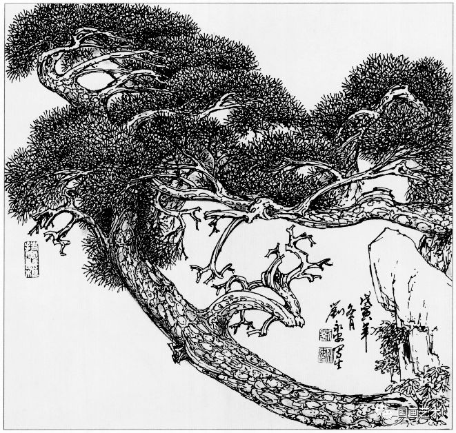 日式线描松树波浪纹,深度线描儿童画松树