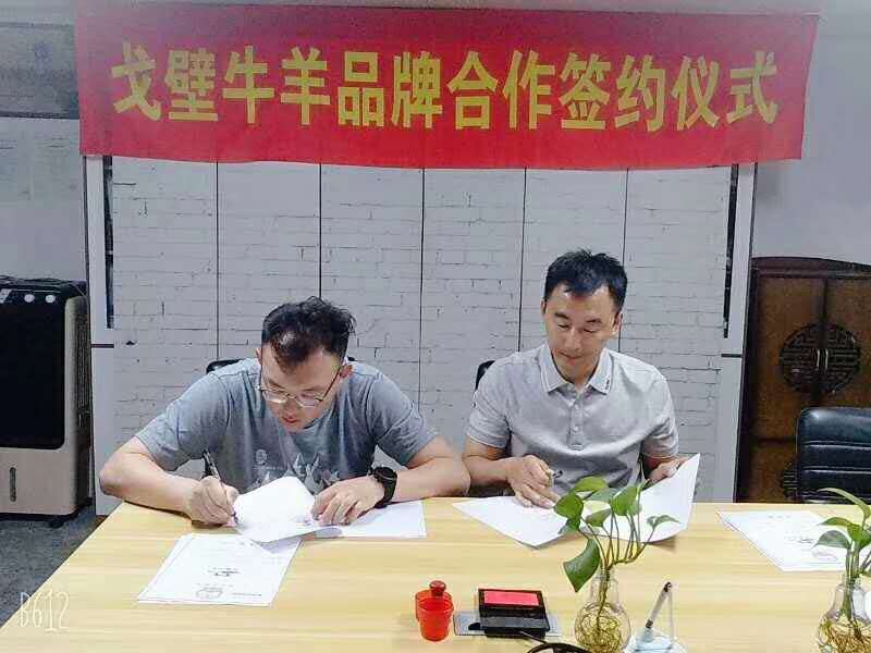 戈壁牛羊跑到东胜区时尚爆锅牛羊肉等你开炒