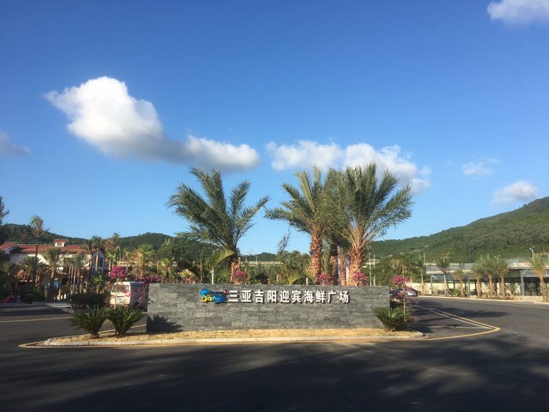 一场一个人说走就走的旅行,来一场旅行开启所有的美好