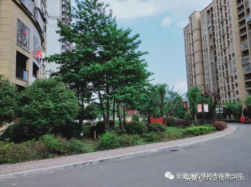 六安特价房源50万以下,六安房价急售