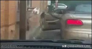 这才是真正的特产,美国特产是什么