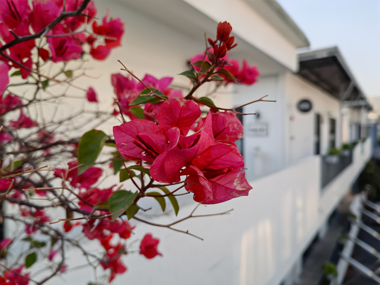 荣耀V40拍照体验:5000万像素大底果然不负众望