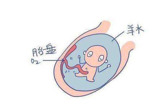 怀孕忽然破水的几率,怀孕时破水