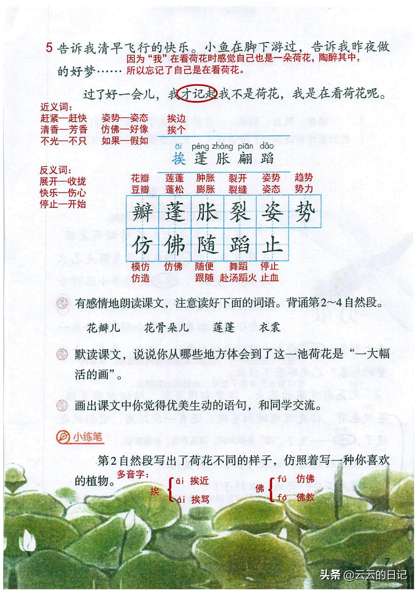 三年级下册语文笔记完整版讲解,三年级下册语文第一课注释