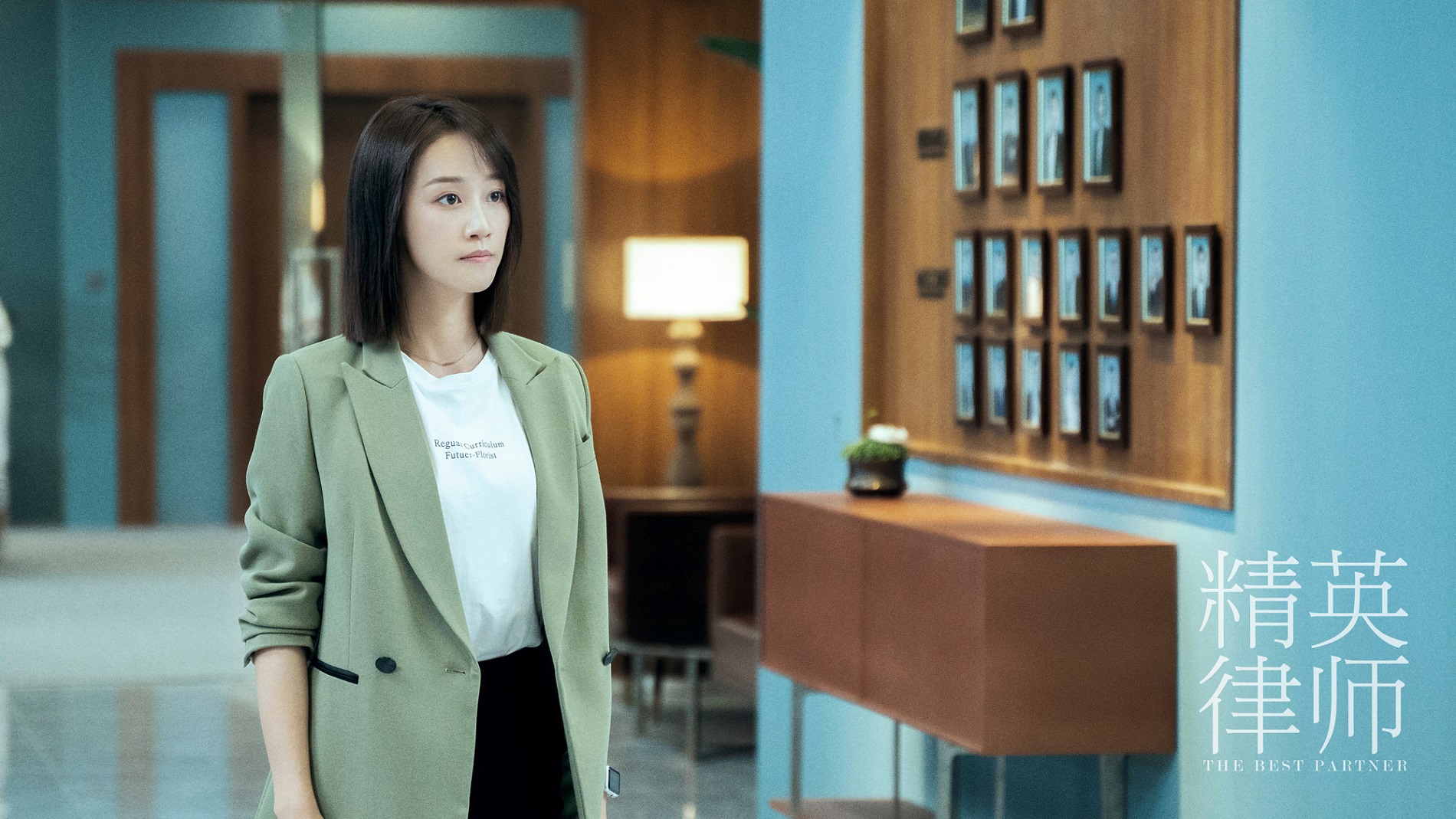 精英律师主要讲述什么,精英律师观看