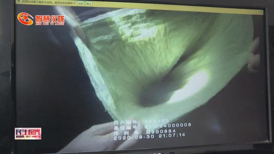 癞疙宝算不算动物,癞疙宝是国家保护动物吗