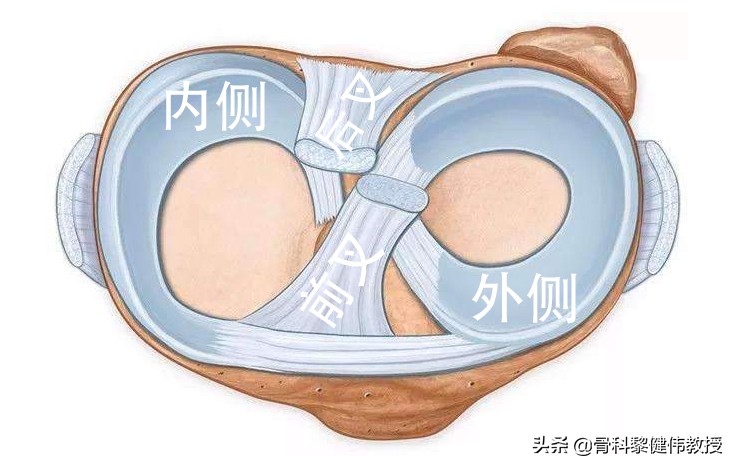 半月板损伤的介绍,半月板损伤科普小知识