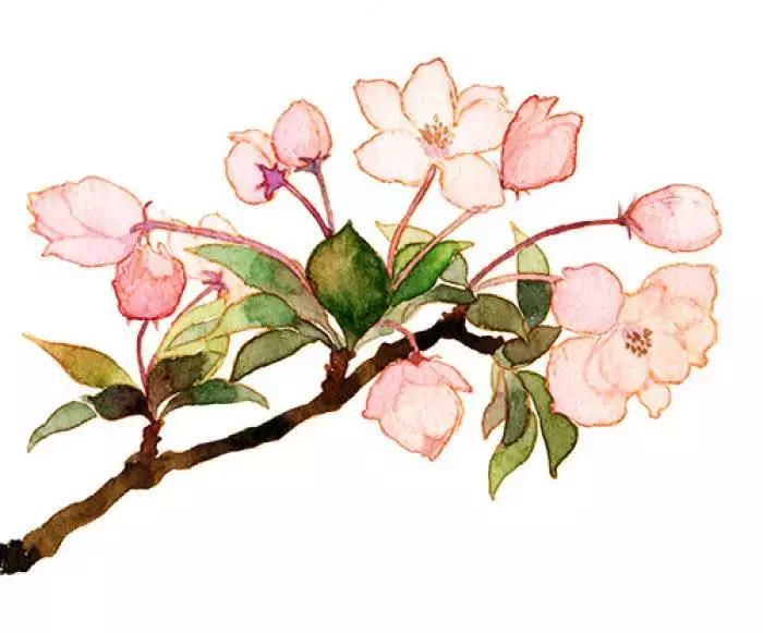 指间自由花艺，为己而生的匠心|匠人采访