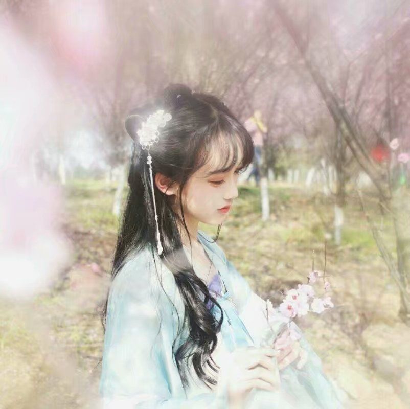 山有木兮木有枝心悦君兮君不知mv,山有木兮木有枝心悦君兮君不知歌词