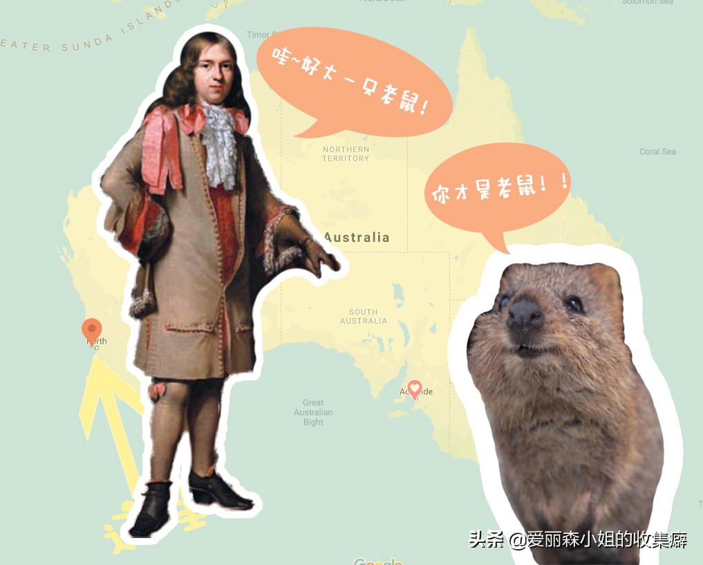 为什么我们会微笑?10个关于微笑袋鼠的萌萌秘密