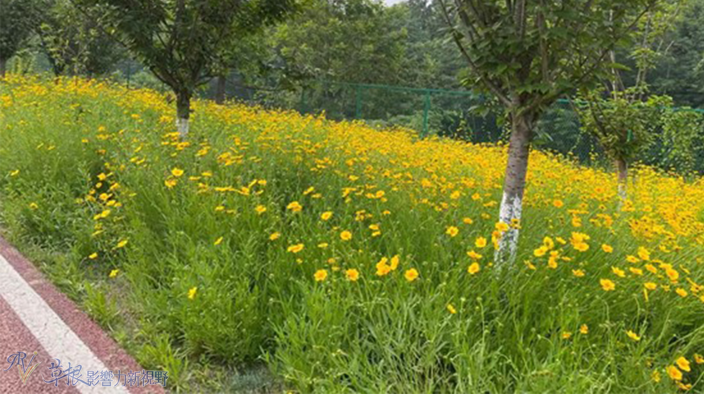中国最美乡村竹子沟风景区,中国四大顶级风景村