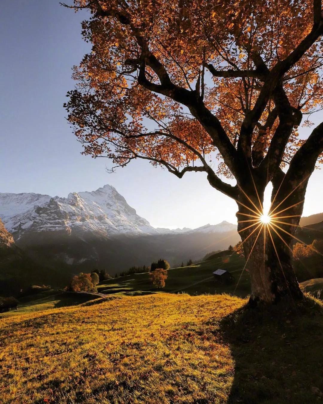 手机壁纸瑞士风光,瑞士风光全面屏壁纸