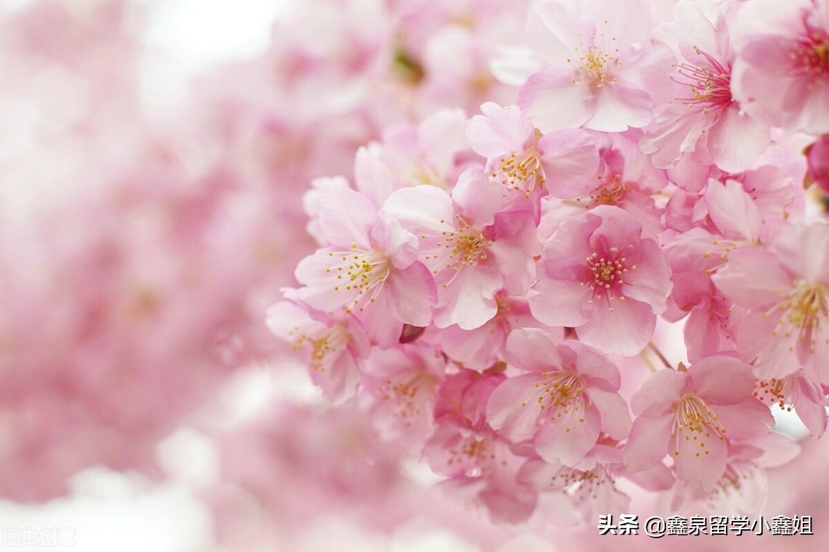日本留学在东京还是大阪好,日本留学哪个城市好