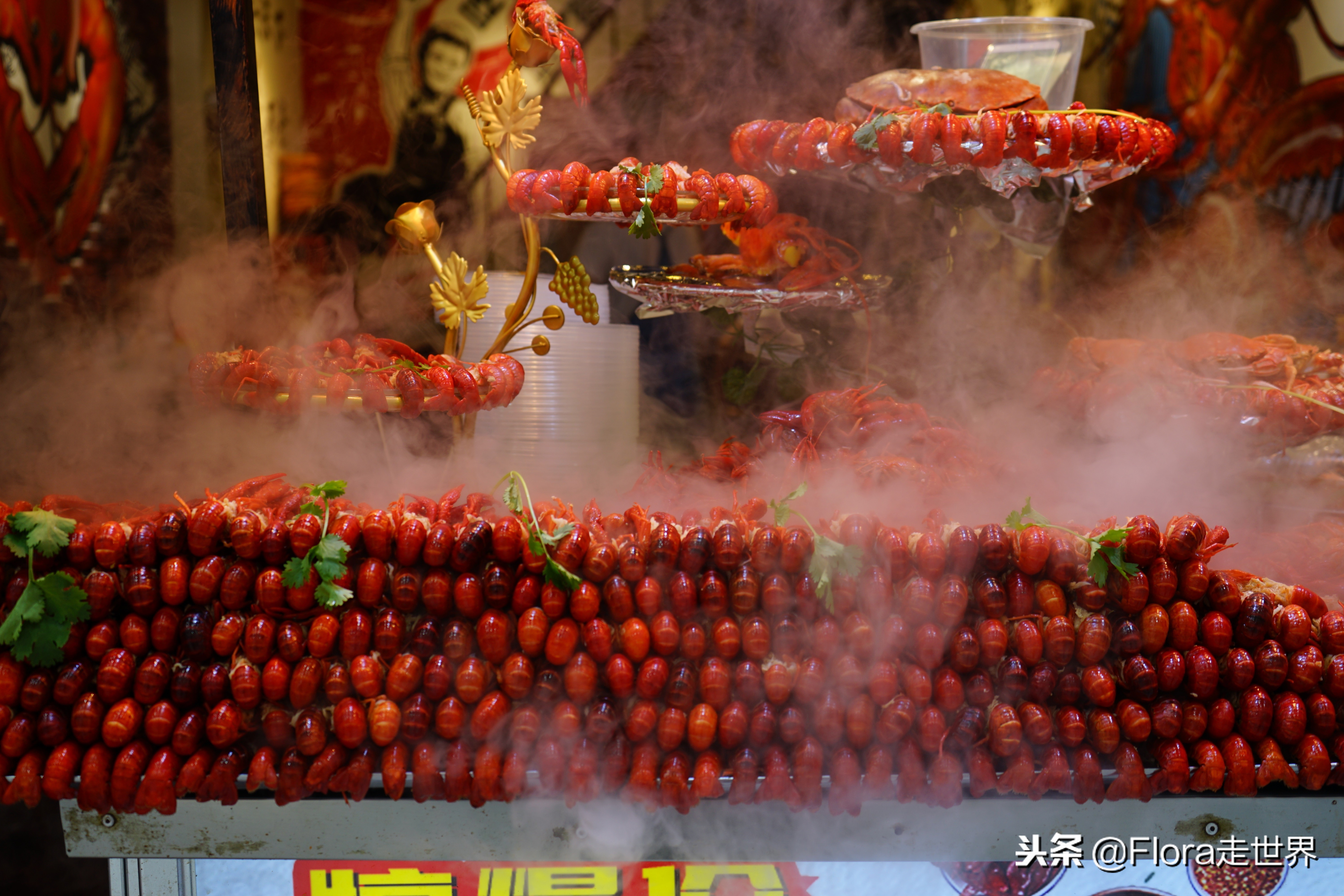 我们的侣行还在拍吗,我们的侣行2019破冰之旅