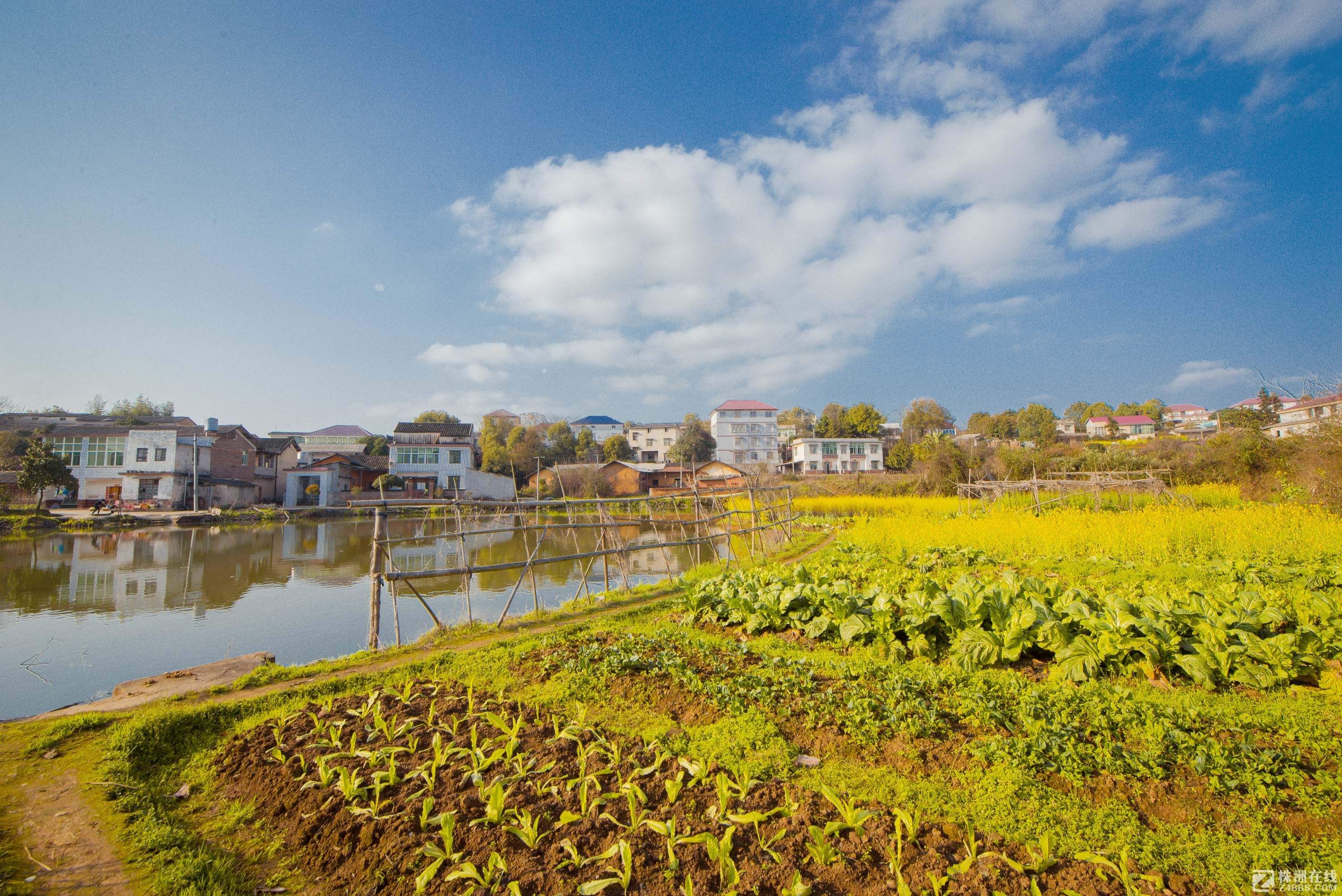 非净地出让的法律责任,非净地被挂牌出让
