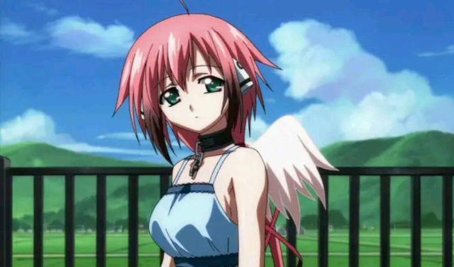 该学习知识了!如果这些词都不知啥意思,不要再说自己老二次元了