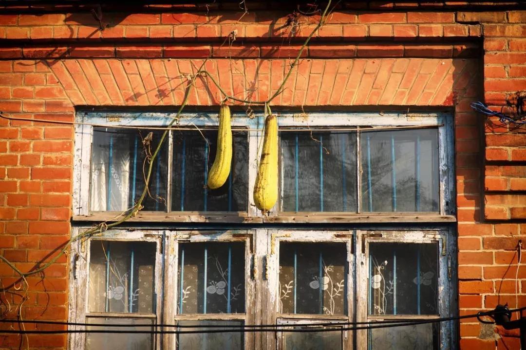 美过三亚！比厦门浪漫！中国这座海滨老城，去一次相当于环游世界