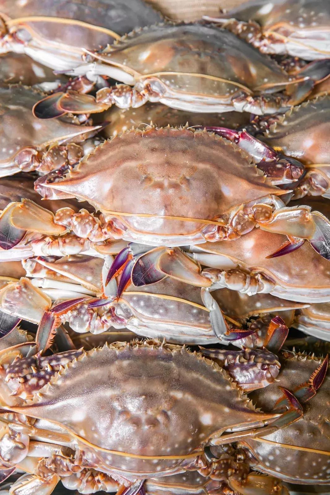 老板疯了18元自助火锅,老板疯了吃火锅继续八折优惠