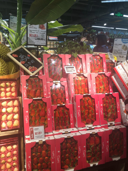 水果精品柜超市陈列图片,精品超市啤酒陈列