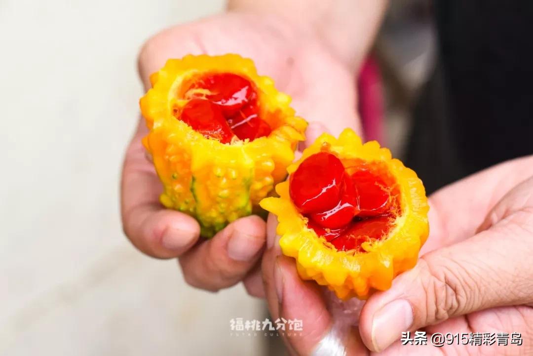 在苏州吃全国各地的美食,苏州美食好精致