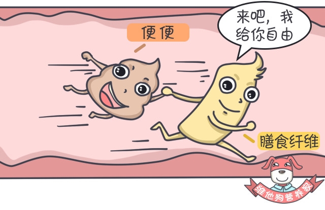 多吃膳食纤维能瘦吗,高膳食纤维对减脂有帮助吗