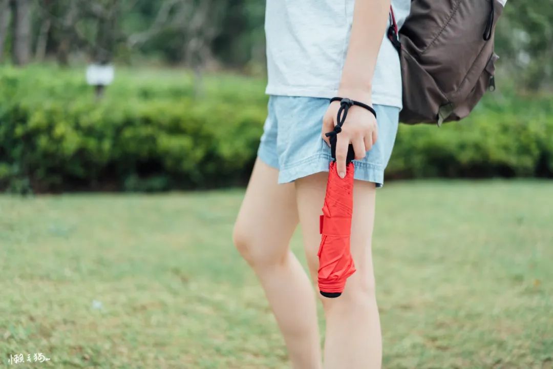 6骨双层长柄雨伞,六骨拱形雨伞