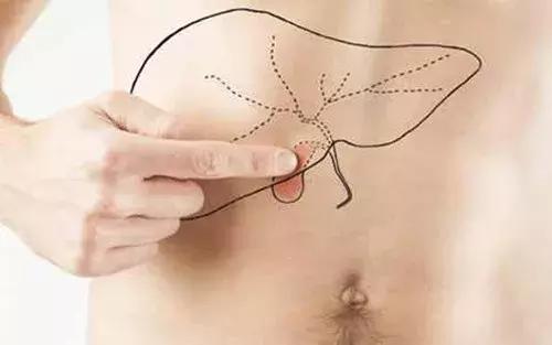 下身胖竟然是肝胆不好?你哪个部位胖?请对号入座