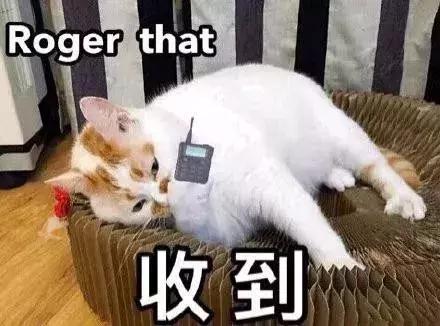 吴宣仪和杨超越戴美瞳,杨超越戴美瞳技巧