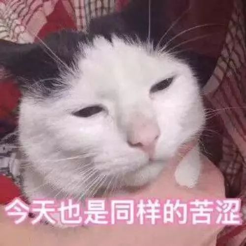 护肤达人分享经验,15年护肤达人分享