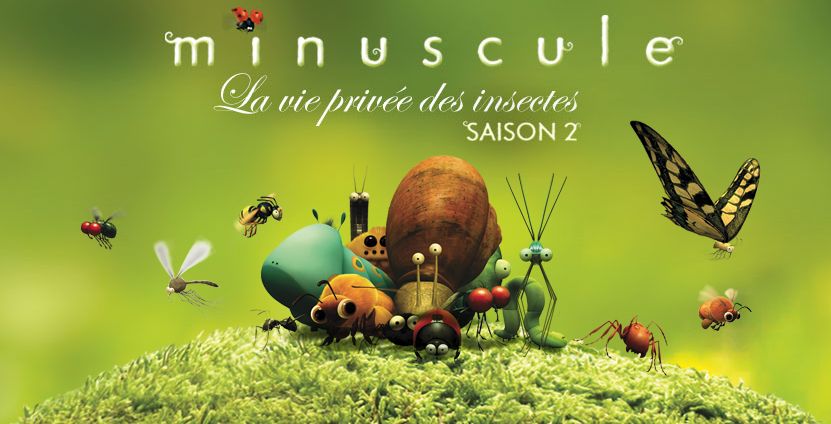 神级小孩10小时超长视频,小学生地理知识纪录片