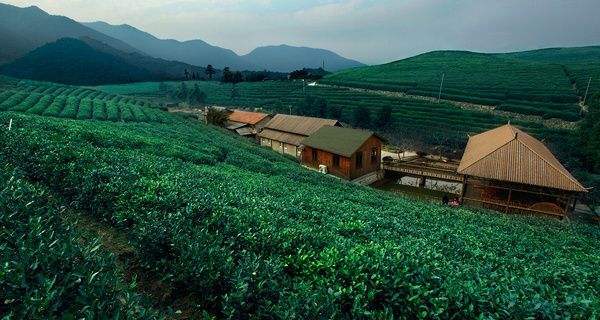 江浙沪春游自驾游,江浙沪自驾春游