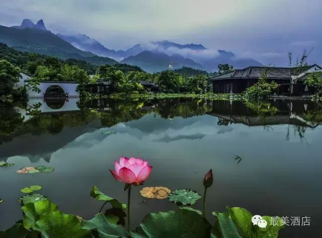 2019年最舒适的酒店,国内最美野奢酒店