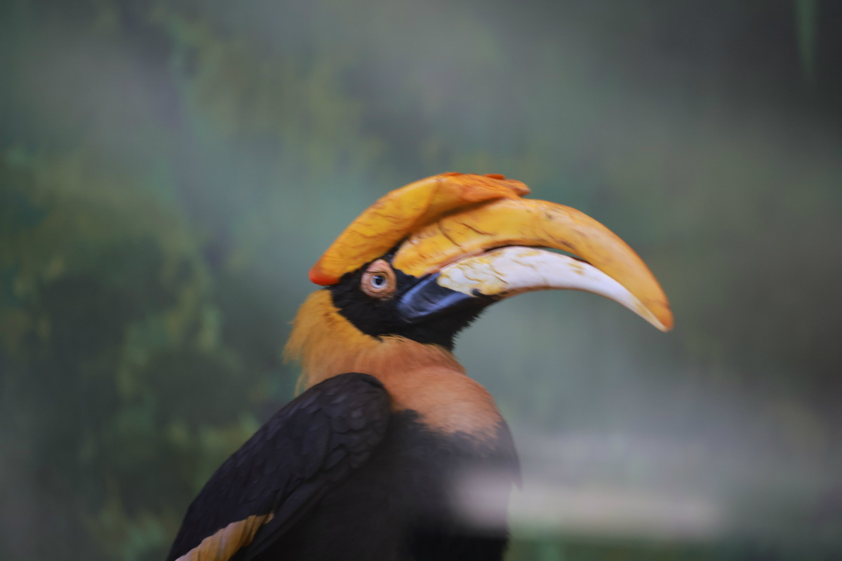 史上最轻便长焦利器佳能RF70-200mmF4L镜头评测