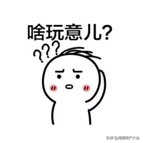 椰子在海南话有什么别的意思吗,椰子在海南的地位