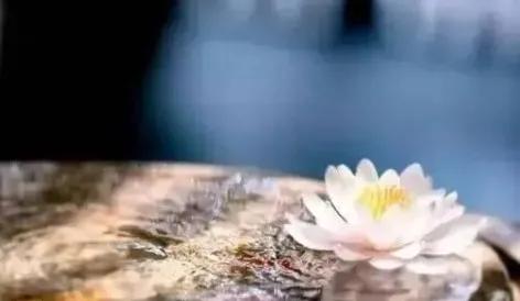 禅悟开悟小故事,禅门小故事大全集