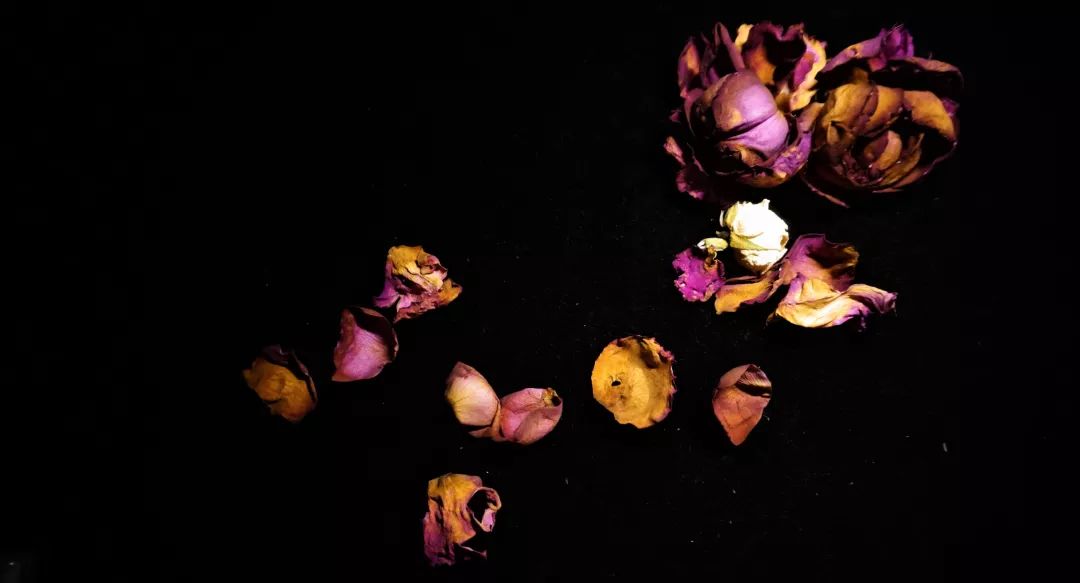 迪奥琥珀幽香香水,迪奥2024春季梦幻限定