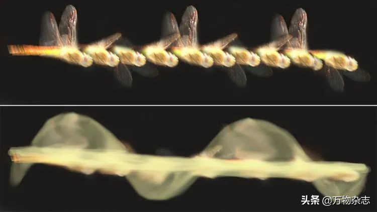 太空空间站拍到的几个ufo目击事件,太空探索飞机上看到最真实ufo