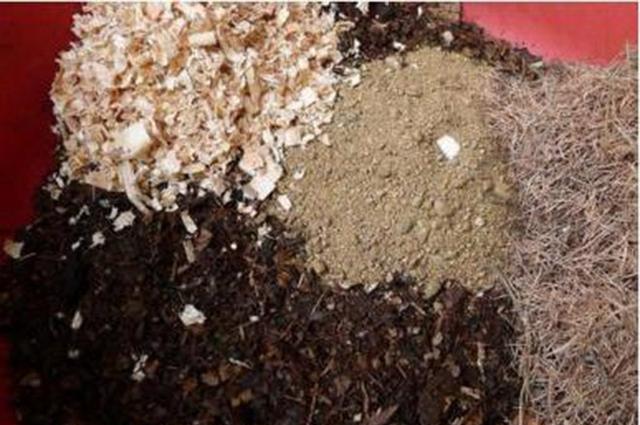 6种“垃圾”不要扔，装水瓶里泡一泡，肥的流油，养花一级棒