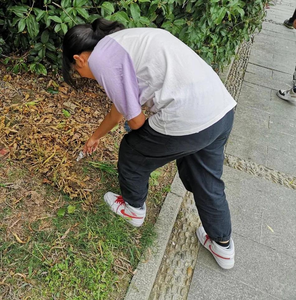 文明清风新吴有礼|梅里中学:弘扬时代精神,绽放文明之花