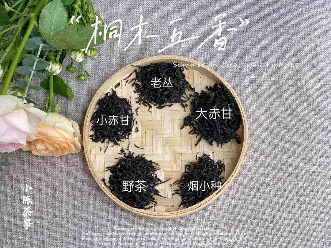 金骏眉正山小种铁观音茉莉花茶,红茶金骏眉正山小种四大名茶组合