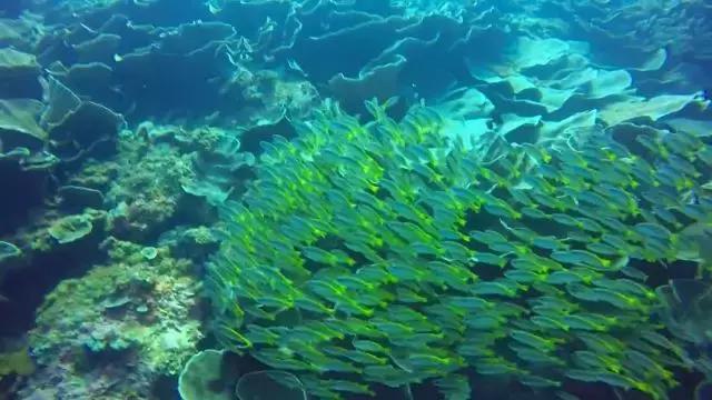 比马尔代夫更美的国家,比马尔代夫还美丽