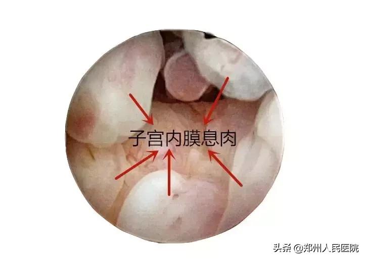 这个小镜子，照看着世上最贵的“房子”