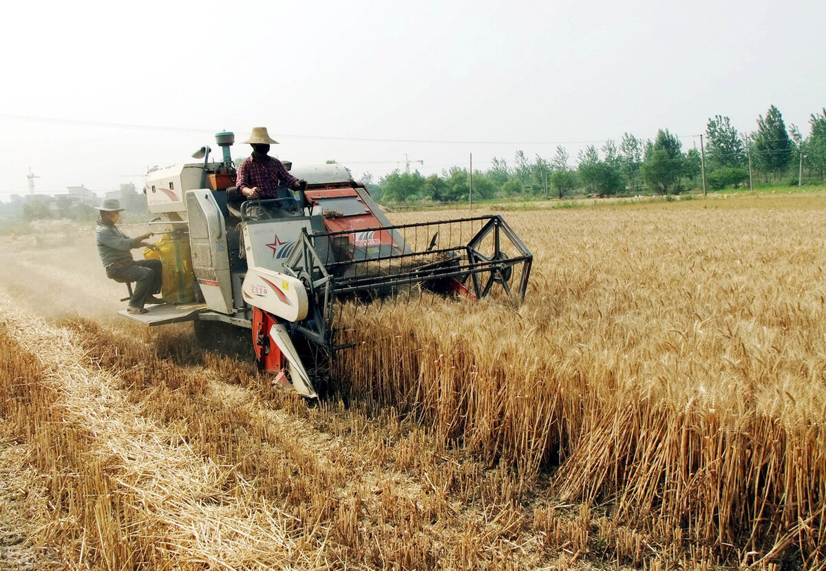 拖拉机倒挡异响脱挡怎么修,拖拉机挂挡不顺畅怎么回事