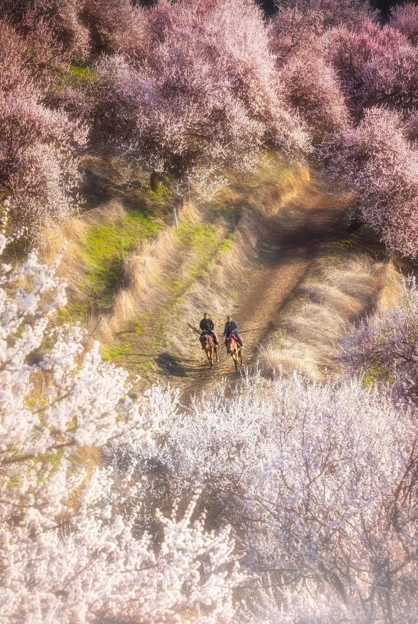 全世界景色最美的十个地方,世界上最美的26个地方你一定要去