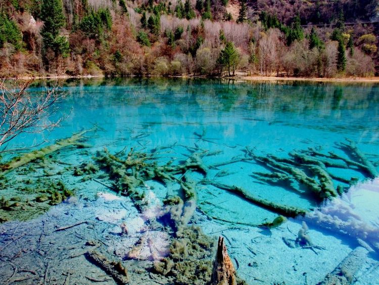 九寨沟最美的十个景点,九寨沟最美的景点排名前十