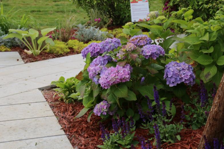 梦境中的花园来感受花园的魅力,这座花园带给你全新体验